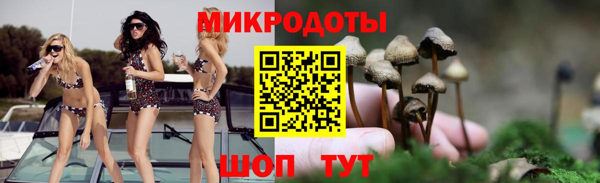 Галлюциногенные грибы Psilocybe Арсеньев